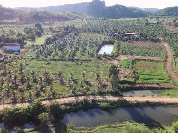 agricultural land for sale in Prey Thnang Kampot Cambodia