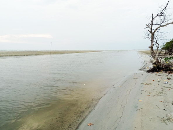beachfront land for sale in Srae Ambel Koh Kong Cambodia between Mangrove Beach and Fishing Beach