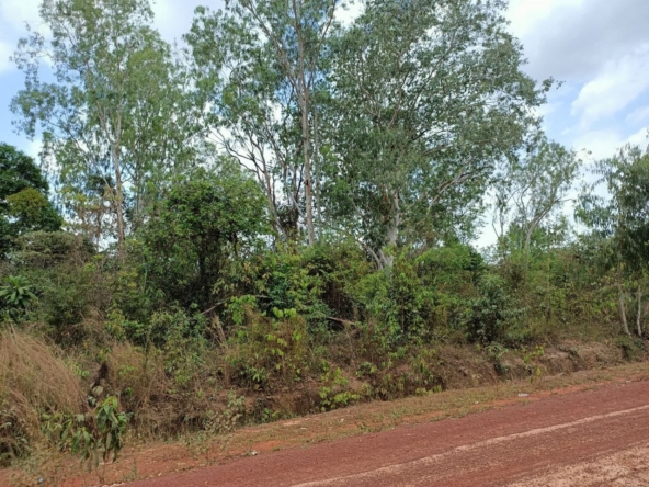 the road near the cheap land for sale in Srae Ambel Koh Kong Cambodia