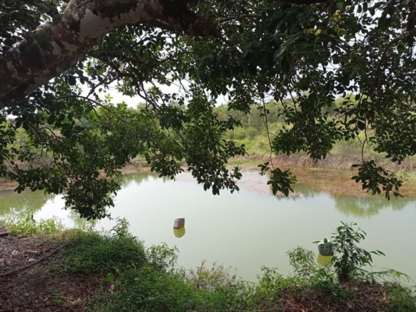 the water source of the land for sale in Srae Ambel