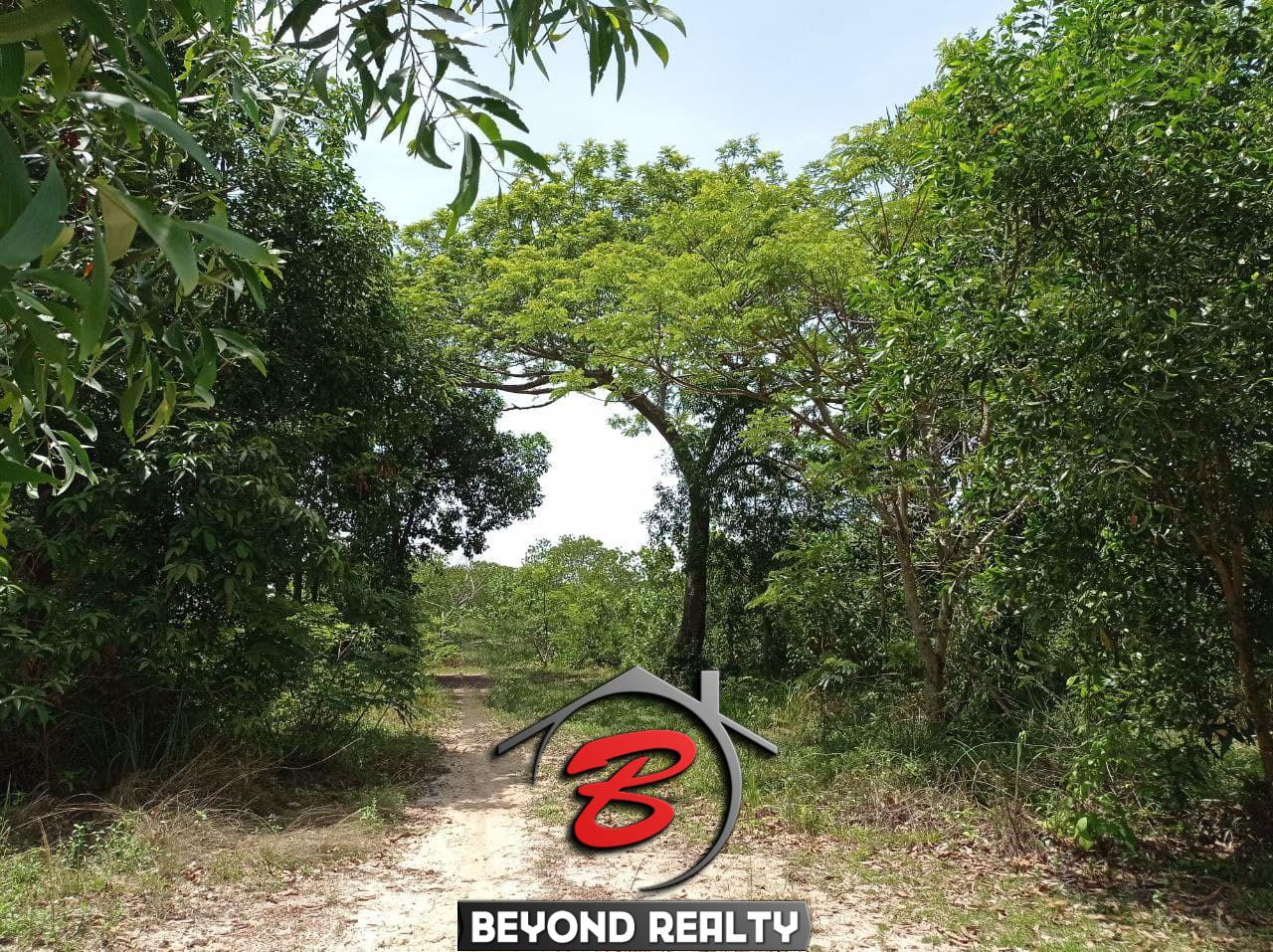 the internal road of beachfront land for sale in Srae Ambel Koh Kong Cambodia