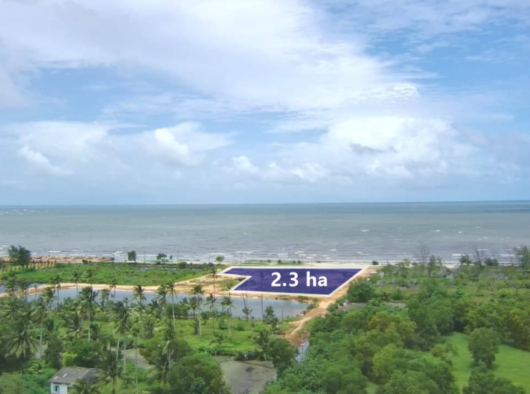 beachfront land for sale in Koh Kong Cambodia